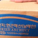 남해안멸치 이미지