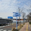 (주)한강식품 | 한강 피크닉 도시락 추천｜참치삼각김밥 + 초간단 바질파스타