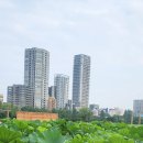 [수심결] 알지 못하는 줄 알면 견성이다(2) 이미지