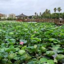 하가리집 이미지