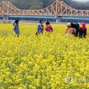 낙동강변19 이미지