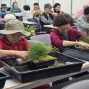 추억정원 이미지