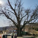 대흥1리 경로당 이미지