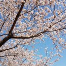 강정동-43 이미지