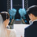 비비드유 vividu