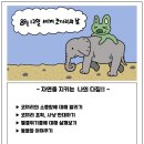 코끼리 환경 이미지