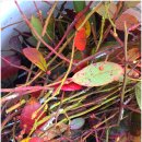 빼올농장 이미지