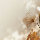 나를위한 산부인과의원