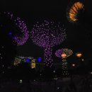 싱가포르 5박6일 여행기: 난양공대, 마리나 베이 샌즈, 유니버셜 스튜디오