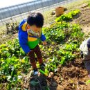 주호농장 이미지