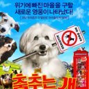 춤추는 이미지
