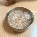 왕송황토보리밥 | 의왕 왕송호수 밥집 [ 왕송황토보리밥 ] / 황제세트 제육볶음 황태구이 보리밥