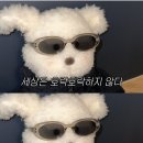 사임당로 58 | N2. 비전공자 58회 SQLD 합격일기