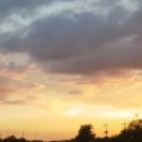 넘버원부영공인중개사사무소 이미지