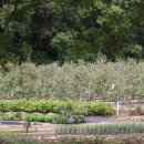 목계성황당 이미지