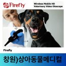 상아동물메디컬