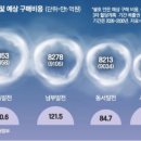 대조-009 이미지