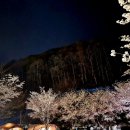 나만의풍경캠핑&펜션 이미지