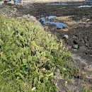 별방으로의 산책 이미지