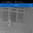 스타펫미팅 이미지