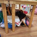 이삭유치원 이미지