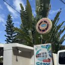 비치힐(Beach - Hill) | 보홀 알로나비치 숙소 추천 알로나비다비치힐 리조트 0.5박 가성비 숙소 후기