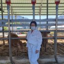 옥천축산 이미지