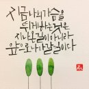 캘리그라피&꽃그림 이미지