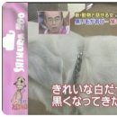 소니아２