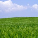 가재마을502동앞 이미지