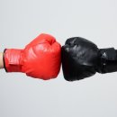 효성 복싱체육관 이미지