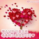 시낭로 이미지