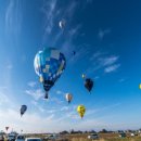 내고향서천 이미지