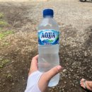 한국지엠사천바로서비스 | 발리 자유여행 11일차 -발리 인스타그램투어 자세한 후기 내돈내산// 여자 혼자 발리 여행