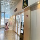 다올 | 손상모 심한데 효과 있었던 무코타 크리닉 후기 (다올헤어 새솔동점)