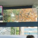 풍년옥 | 서울역 직장인 맛집 풍년옥 설렁탕(일반) 10,500원 내돈내산 후기