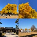 여주-1092 이미지