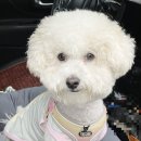 계양경기장 운동장 이미지