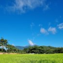 순천시 송광면 왕대마을-화순 모후산(918M)-중봉 코스(2021.8.9.월) 이미지