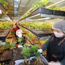 삼은경로당 이미지