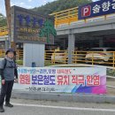 상판소나무숲 이미지