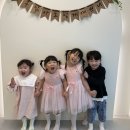 리카키즈 강릉점 이미지