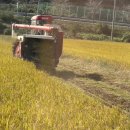 조삼만농장 이미지