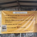 신관 육교 | [친구들과 공주여행 1일차] 공주알밤축제_곰골식당_제민천 거리포차 (2025.01)