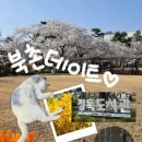 매화도서관 | 북촌 데이트는 즐거워!(정독도서관, 자이소 안국, 황남쫀드기 삼청점, 정독바 카페, 창덕궁 매화)