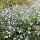 원평보건진료소 이미지