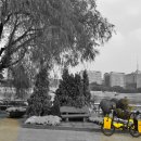 씨싸이드 이미지