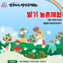 한국체대 제이오름 태권도 이미지