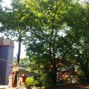 허브힐링가든 이미지