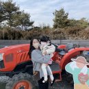 수아농장 이미지